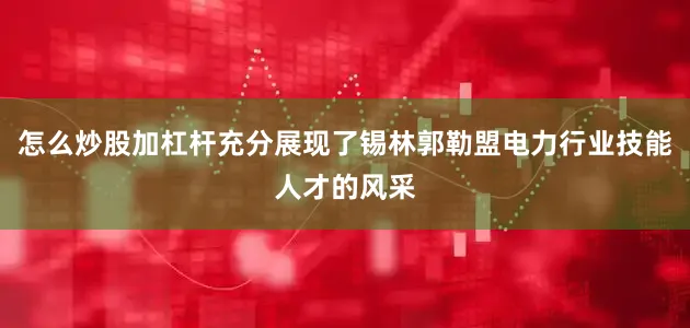 怎么炒股加杠杆充分展现了锡林郭勒盟电力行业技能人才的风采