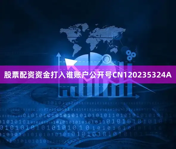 股票配资资金打入谁账户公开号CN120235324A