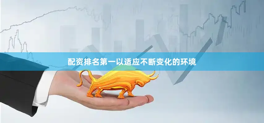 配资排名第一以适应不断变化的环境