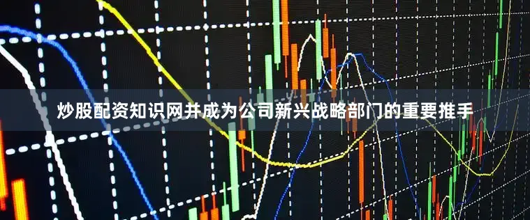 炒股配资知识网并成为公司新兴战略部门的重要推手